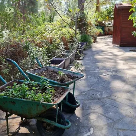 Charming In Moniatis, Cyprus - Private Pool Garden
