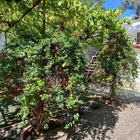 Charming In Moniatis, Cyprus - Private Pool Garden