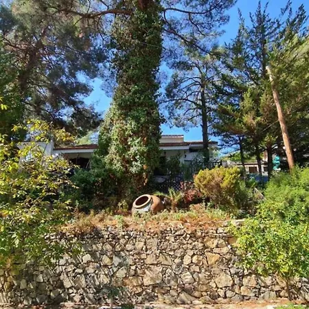 Charming In Moniatis, Cyprus - Private Pool Garden Villa