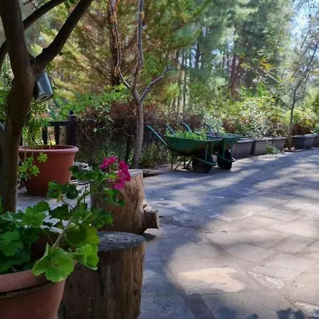 Charming In Moniatis, Cyprus - Private Pool Garden Villa *