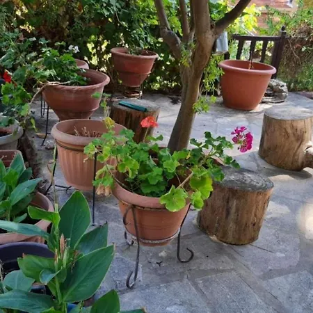 Villa Charming In Moniatis, Cyprus - Private Pool Garden *