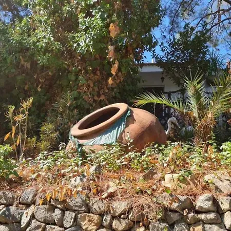 Charming In Moniatis, Cyprus - Private Pool Garden Villa Saittas